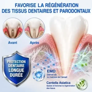 Gel Régénération Parodontale