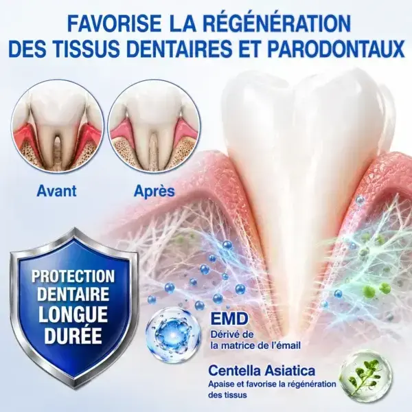 Gel Régénération Parodontale